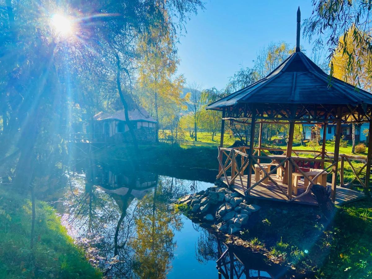 Viewtopia The Secret Land Valea Drăganului Exterior foto
