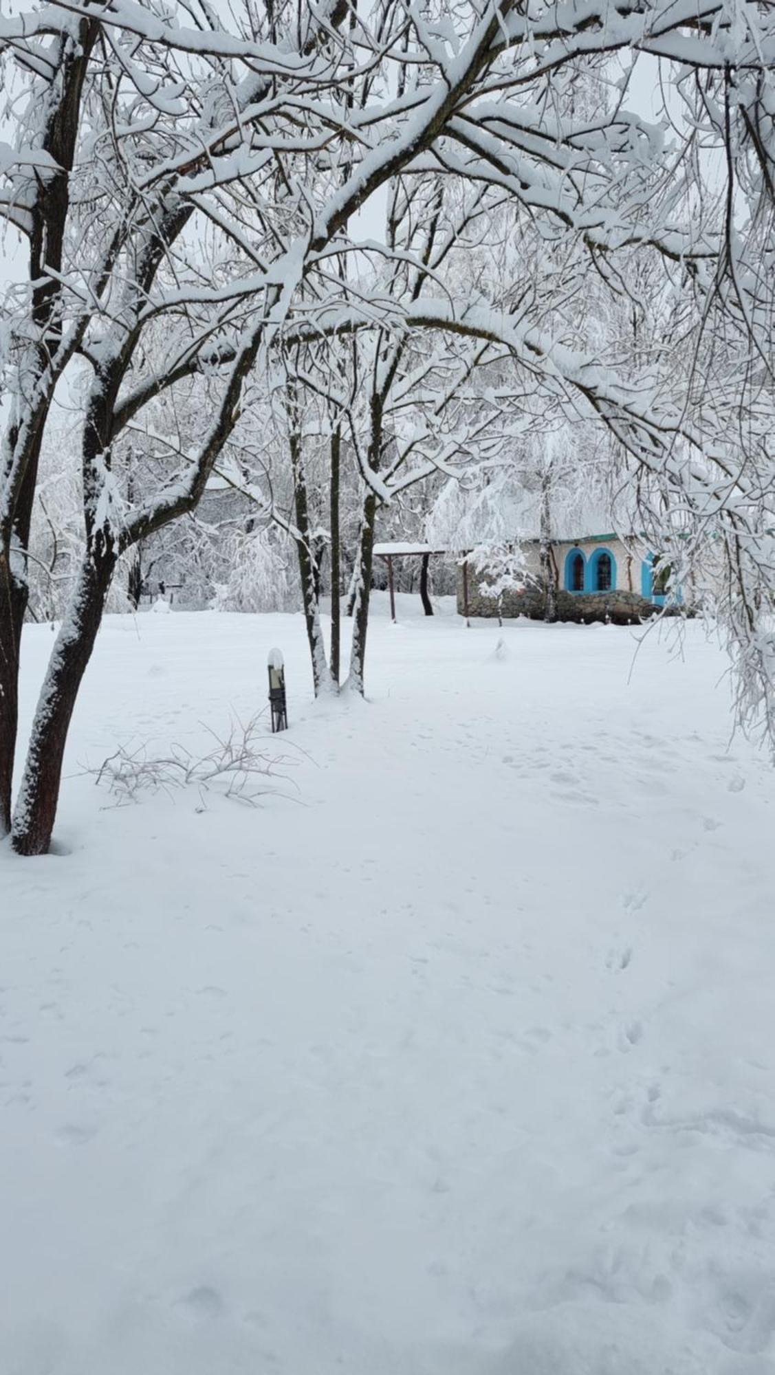 Viewtopia The Secret Land Valea Drăganului Exterior foto