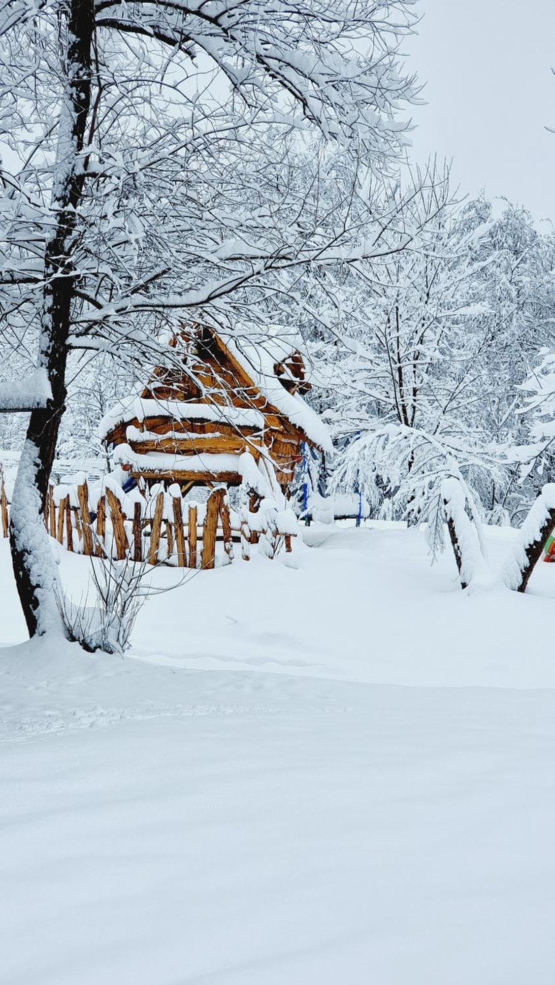 Viewtopia The Secret Land Valea Drăganului Exterior foto